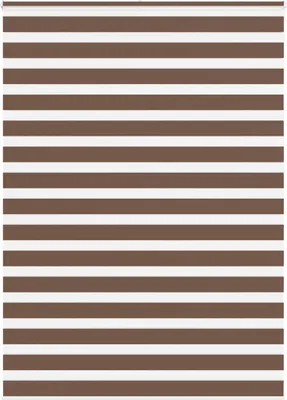 Image de Store zèbre marron 165x230cm largeur du tissu 160,9cm polyester