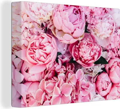 Produktbild von MuchoWow® - Leinwandbilder - Blumen - Rosa - Rosen, Wandbild, Wanddeko Bilder Wohnzimmer, 80x60 cm