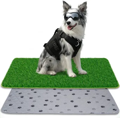 A dog wearing goggles and a vest sits on a patch of artificial grass, with a training pad underneath.