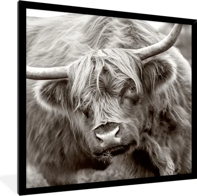 Produktbild von MuchoWow® Gerahmtes Poster Schottischer Highlander - Schwarz - Weiß - Hörner 40x40 cm - Poster mit Schwarzem Bilderrahmen Wandposter Rahmen Foto Bilder - Mit Rahmen - Wanddekoration Schlafzimmer