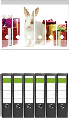 Produktbild von Wallario 6 Stück breite Ordner inkl. Klebeetiketten mit Motive Süßes Kaninchen mit bunten Geschenken -  Set mit Rückenschildern / Ordnerrücken Stickern