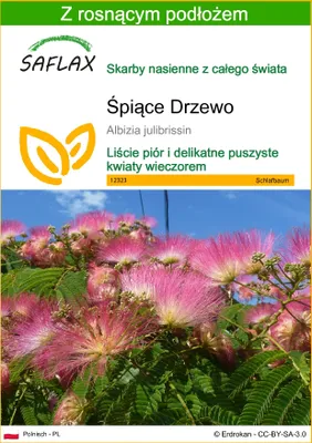 Zdjęcie produktu dla SAFLAX - Śpiące Drzewo - 50 Nasiona - Z podłożem uprawowym wolnym od zarazków - Albizia julibrissin
