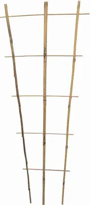 Produktbild von SIENA GARDEN Spalier 140x50x15cm