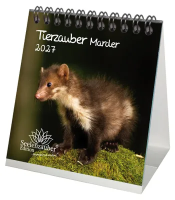 Produktbild von Tierzauber Marder Tischkalender 10x10cm für 2027 Wald Natur Baum - Seelenzauber