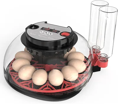 Imagen del producto de Incubadora automática para huevos, con capacidad para 12 huevos, que incluye suministro de agua, control de temperatura y humedad, ideal para gallinas