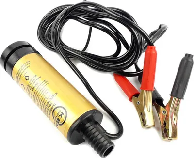 Image de Pompe submersible de transfert pour gasoil / carburant 12V