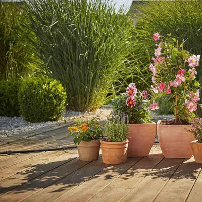 Image de Kit d'extension Micro-Drip Système Gardena Pots de plantes