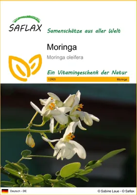 Produktbild von SAFLAX - Moringa - Moringa oleifera - 10 Samen