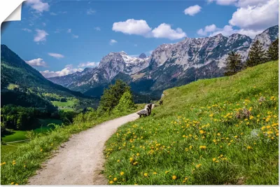 Produktbild von ARTland Poster Wanderweg bei Ramsau in Oberbayern Größe: 120x80 cm