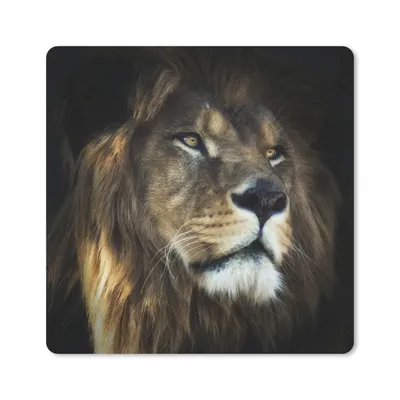 Produktbild von MuchoWow® Mauspad Mousepad Löwe - Fell - Schwarz 30x30 cm - Mousepads - Maus Mat - Pad - Mausunterlage - Gaming