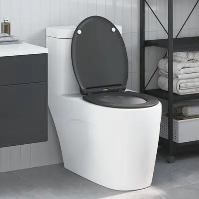 Produktbild von vidaXL Toilettensitz Anthrazit 45,5 x 37,5 x 3,8 cm Duroplast