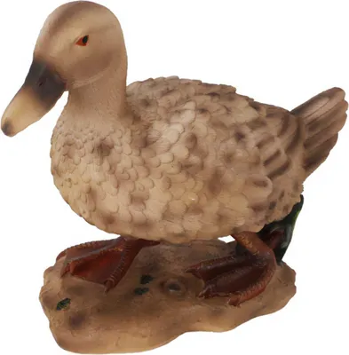 Image de Figurine canard de jardin, 26,5 cm