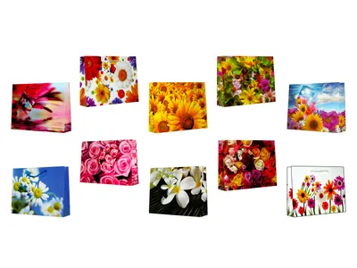 Produktbild von Geschenktaschen Geschenktüten Klein Blumen Geburtstag Birthday Allgemein 10er Set 20x14x5 cm