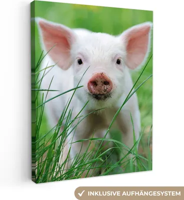 Produktbild von MuchoWow® - Leinwandbilder - Schwein - Tiere - Groß, Wandbild, Wanddeko Bilder Wohnzimmer, 90x120 cm