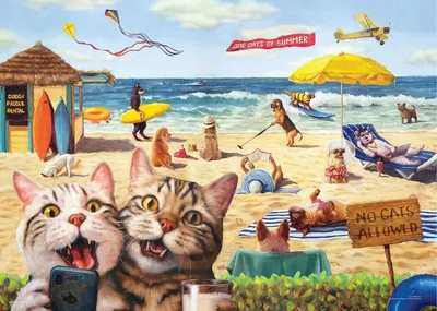 Image de No Cats Allowed by Lucia Hefferman