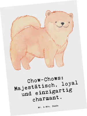 Produktbild von Mr. & Mrs. Panda Postkarte Chow-Chow Charme - Weiß - Geschenk, Hunderassen Beschreibung, Grußkarte, Ansichtskarten, Hunderasse, bildkarte, Pflege, Postkarten, Fotokarte