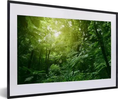 Produktbild von MuchoWow® MuchoWow® Gerahmtes Poster Dschungel - Pflanzen - Blätter - Jungen - Mädchen - Kinder 60x40 cm - Poster mit zchwarzem Bilderrahmen - Schlafzimmer - Plakat in Rahmen - Drucken
