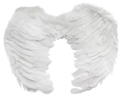 Image de ailes d'ange blanches 42x34cm | SK5619