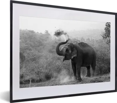 Produktbild von MuchoWow® Gerahmtes Poster Reinigungselefant - schwarz und weiß 40x30 cm - Poster mit Schwarzem Bilderrahmen Wandposter Rahmen Foto Bilder - Bilderrahmen - Poster im Rahmen
