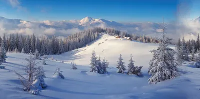 Produktbild von Weihnachts-Hintergrundtuch aus Leinwand Winterwald 'My village' 150 x 75 cm