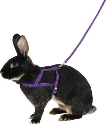 Produktbild von Kerbl Kabelbaum für Kaninchen 21 - 35 cm, m [81760]