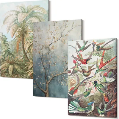 Produktbild von Leinwandbilder – Wandbilder – Leinwandbild – Canvas Bild – Polycanvas – Kunstdruck –  – Modern – Aufhängefertig – Mehrteilig – 3-Teilig – 40x60 Cm Pro Bild - Tropische Pflanzen und bunte Vögel in der Natur