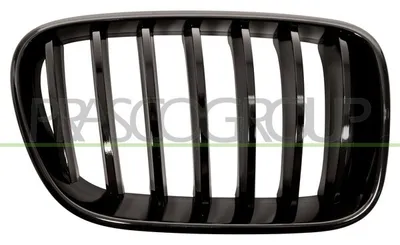 Produktbild von PRASCO BM8052003 Kühlergrill Frontgrill für BMW X3 (F25) Rechts Glänzend