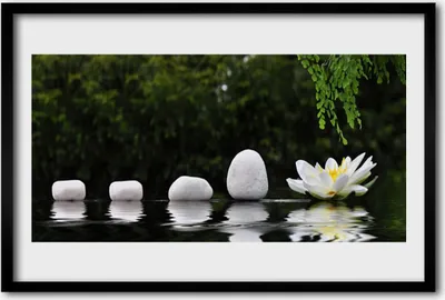 Produktbild von Bild 60x40 MDF-Rahmen Wandkunst Lotus Flower Seerose