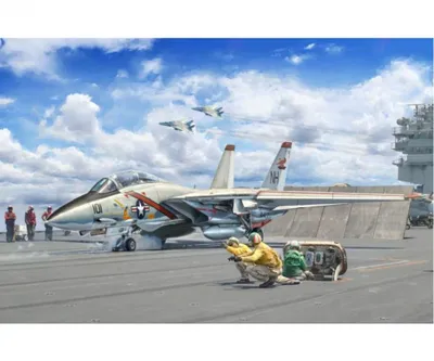 Zdjęcie produktu dla 1:72 F-14A Tomcat Panele wpuszczane 510001414