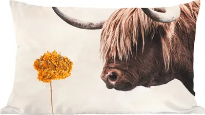 Produktbild von MuchoWow® Zierkissen Sofakissen Wohnzimmer Dekokissen 60x40 cm Schottisches Hochlandrind - Blume - Orange - Kopfkissen - Polster mit Foto