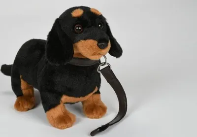 Produktbild von Dackel 28 cm Kuscheltier Hund schwarz-braun mit Leine Uni-Toys