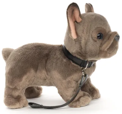 Productafbeelding van Pluche Franse buldog met riem, 23 cm