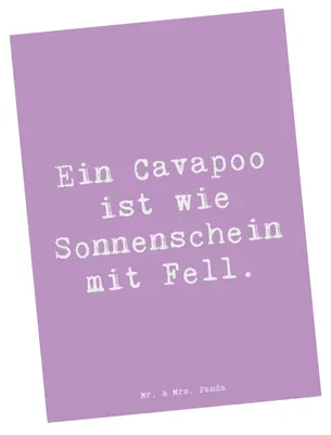 Produktbild von Mr. & Mrs. Panda Ansichtskarte Spruch Cavapoo Sonnenschein - Lavendeltraum - Geschenk, Hunderassen Charakter, kinderfreundlicher Hund, Kunstkarten, einzelkarte, Postkarte