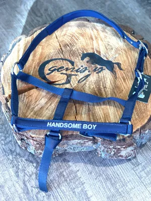 Obrázek produktu pro Ohlávka pro koně Malva Navy s nápisem, velikost:Shetty
