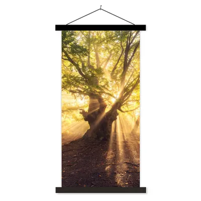Produktbild von MuchoWow® Textilposter Baum - Wald - Sonne 40x80 cm mit schwarzem Rahmen - Wandemalerei