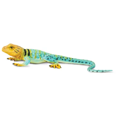 Produktbild von Safari Ltd Collared Lizard Blue / Yellow One Size