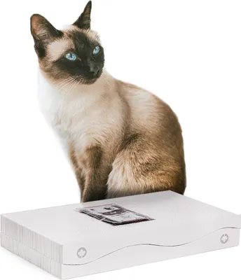 Produktbild von Scratch 2 in 1 | Katzenkratzer Kanadische Katze | WHITE EDITION