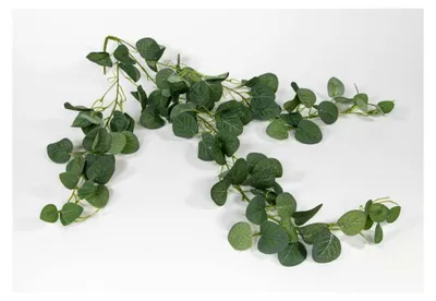 Produktbild von Eukalyptusranke 80 cm grün Kunstpflanzen