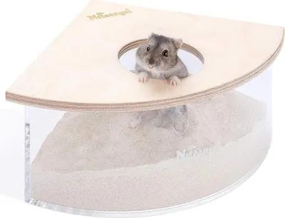 Image de Niteangel Bac à sable acrylique pour petits animaux Hamsters Souris Gerbils Bacs à sable