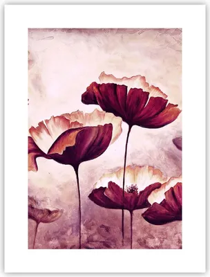 Produktbild von Poster - Poster ohne Rahmen - Mohn Blume Wiese - 30x40 cm - Wand Bild - Wanddeko - Wandbilder - Kunstposter - Wandposter - Bilder - Kunstdruck - Wanddekoration - Wandbild - P2XPA30x40-3934