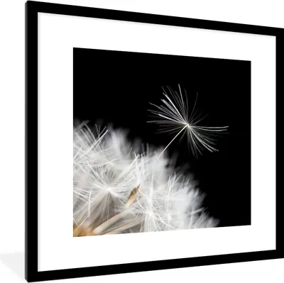 Produktbild von MuchoWow® Gerahmtes Poster Blume - Löwenzahn - Pflanze 40x40 cm - Poster mit Schwarzem Bilderrahmen Wandposter Rahmen Foto Bilder - Poster - Plakat im Rahmen
