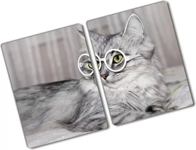 Produktbild von Tulup Glas Herdabdeckplatte - 2x40x52 cm - Glaskeramikkochfeld-Abdeckung Spritzschutz Glasabdeckplatte Kochplattenabdeckung und Schneidebrett - Zweiteilig - Tiere - Katze mit Brille - Grau