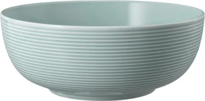 Immagine prodotto di Seltmann Weiden Beat Arktisblau Foodbowl, Schüssel, Schale, Müslischale, Suppenschüssel, Porzellan, Hellblau, Ø 20 cm, 001.757241