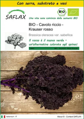 Immagine prodotto di SAFLAX Insieme di coltivazione -- Cavolo riccio - Krauser rosso - 50 semi - Brassica