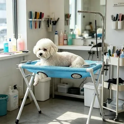Produktbild von Hundebadewanne – faltbar, erhöhtes, Waschstation, tragbar, Fellpflege, für drinnen und draußen, für kleine, mittelgroße Hunde und Katzen, rutschfest, leicht, leicht zu reinigen, für Reisen