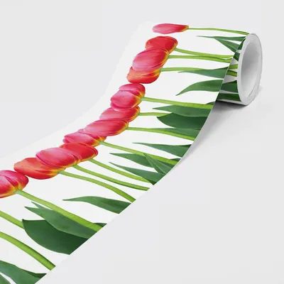 Produktbild von Selbstklebende Bordüre - Tapetenbordüre Wandbordüre - Tulpen - Wandtatto für Wände, Möbel, Decken, Tapeten, Türen - Wiesenblumen - auf 5,00 m x 0,15