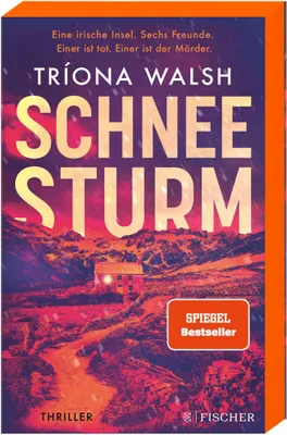 Produktbild von Schneesturm