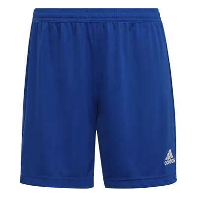 Produktbild von Adidas Hosen Entrada 22, HH9998, Größe: 158