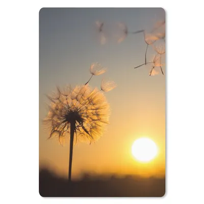 Produktbild von MuchoWow® Mauspad Mousepad Löwenzahn - Sonne - Sonnenuntergang 40x60 cm - Mousepads - Maus Mat - Pad - Mausunterlage - Schreibtisch Accesoire