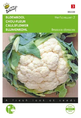 Produktbild von Buzzy Blumenkohl Herfstreuzen 2